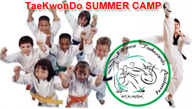 Taekwondo summer camp, kids martial arts summercamp